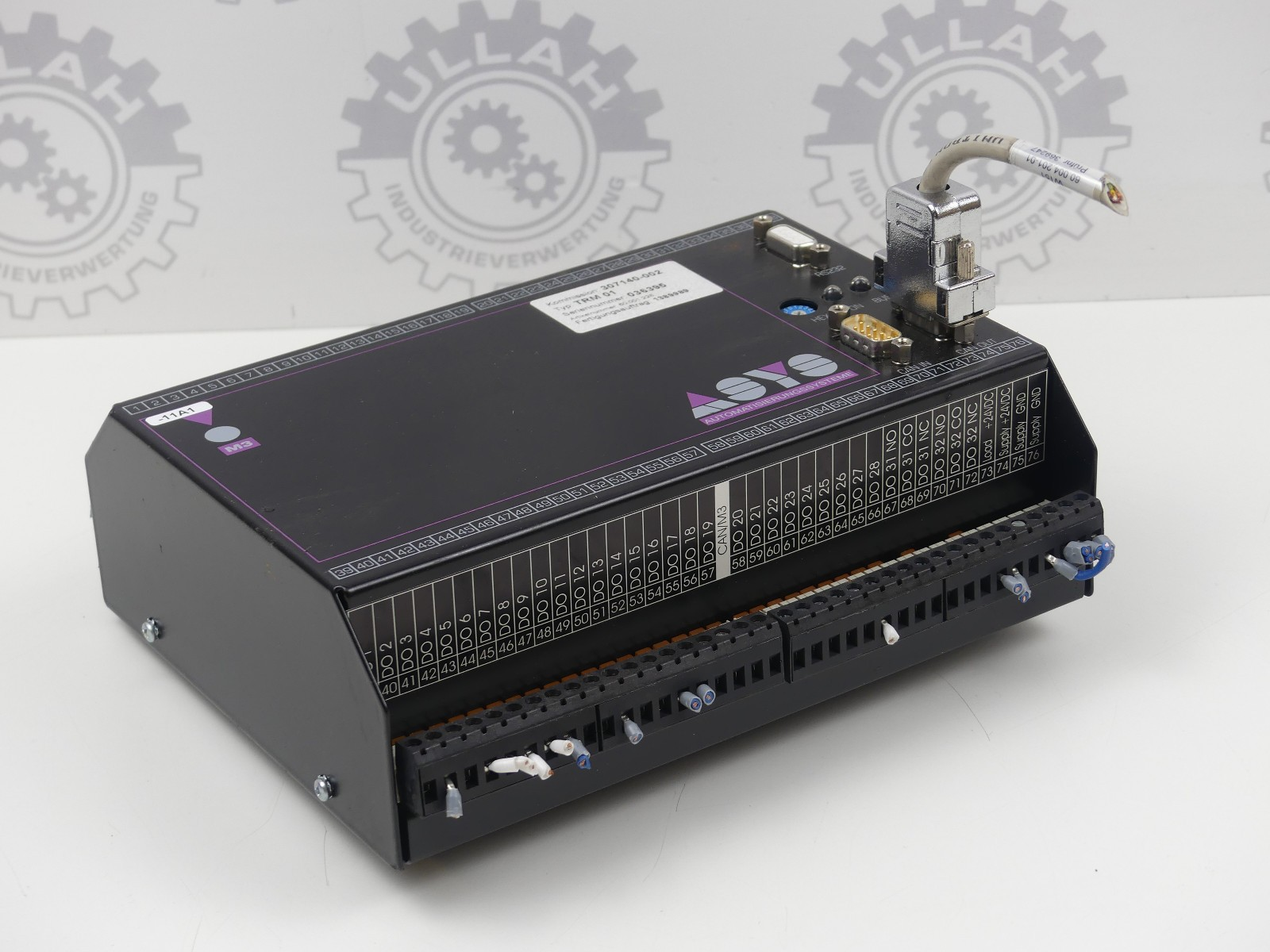 Elrest Control Module ASYS/CAN/M3/CPU167E/V1.51 10803036 60.001.228