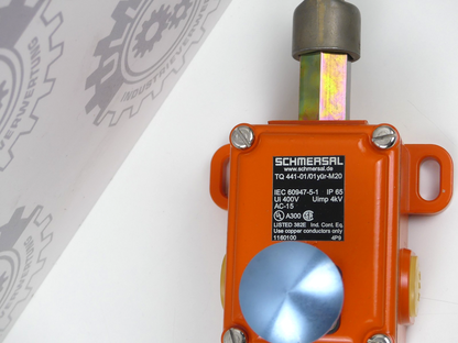 Schmersal TQ 441-01/01Y-UE-R-M20